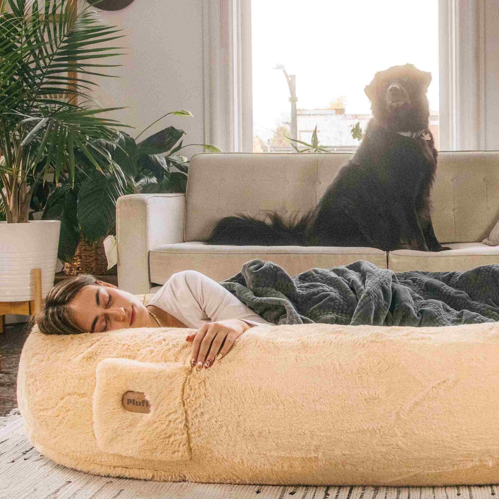 Girl napping in human-sized dog bed Plufl with dog overlooking