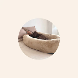 Girl taking a nap in biscuit Plufl best human dog bed